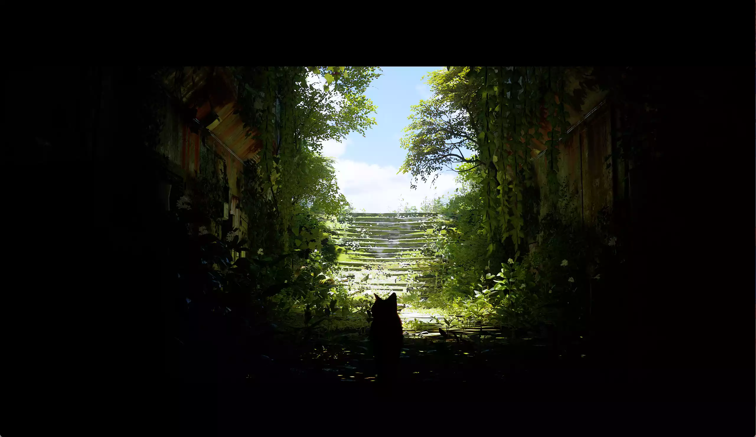 Stray（迷失）游玩记录